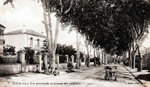 2183- Zeralda - Rue Principale et Avenue des Platanes